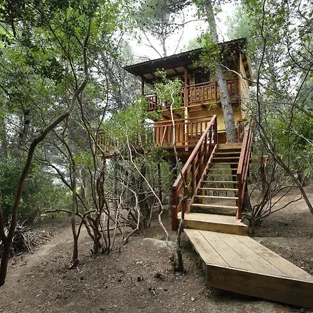 בית נופש Baumhaus 4 - 4 Personen *